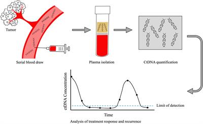 Human papillomavirus circulating tumor DNA assays as a mechanism for head and neck cancer equity in rural regions of the United States